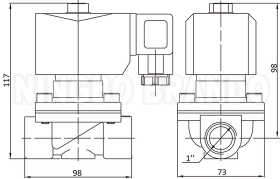 2W250-25 1'' 2 οδοι κανονικώς κλειστη βαλβίδα σολενοειδούς νερού από χαλκό 24V 220V